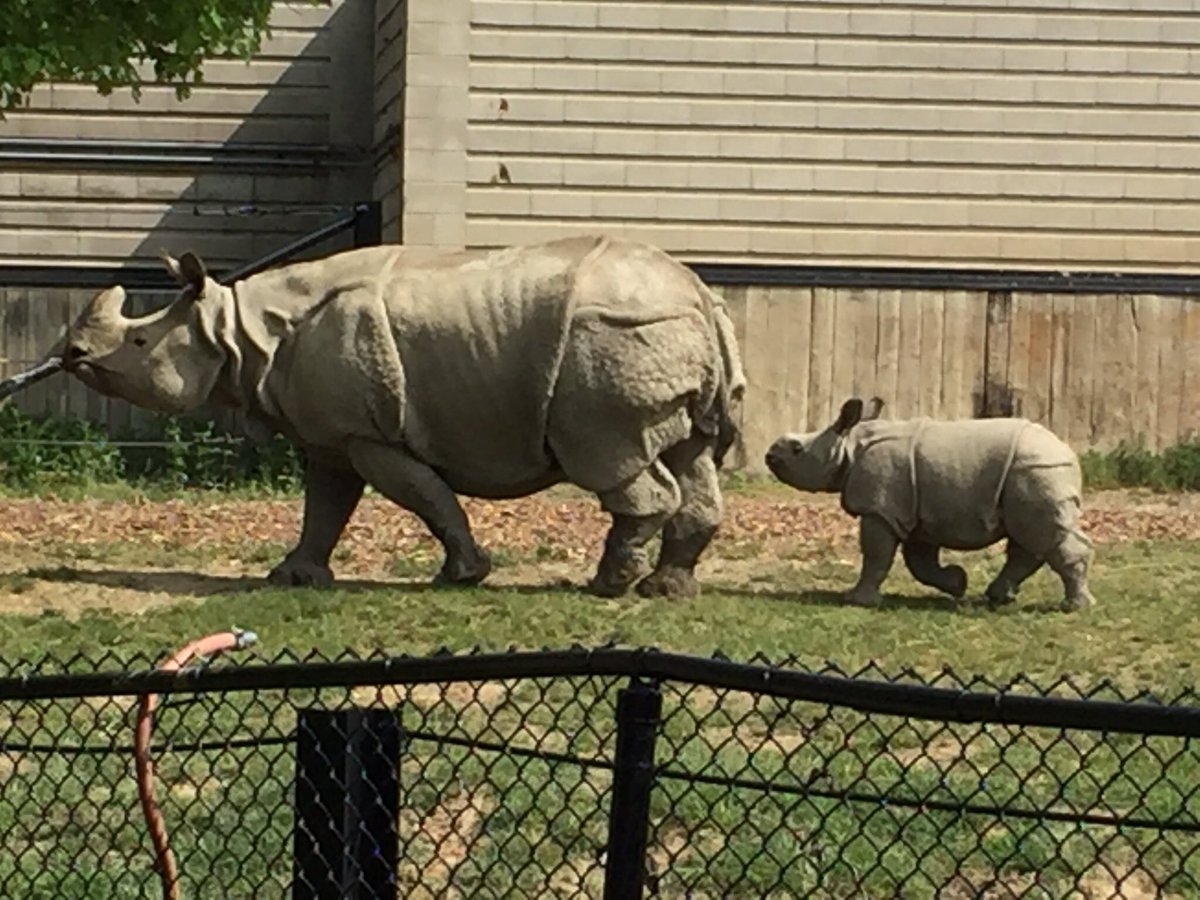 St. Stephen C.S.S. tweet media