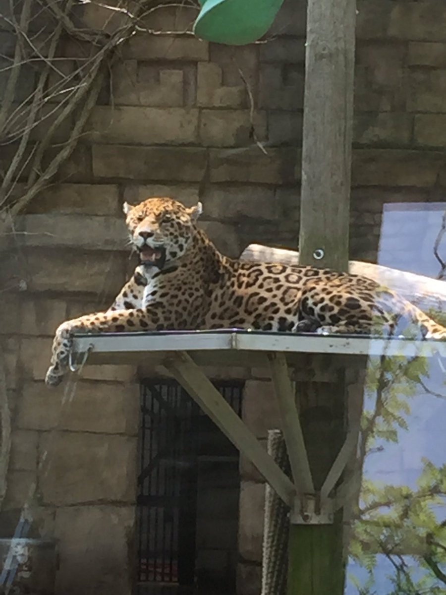 St. Stephen C.S.S. tweet media