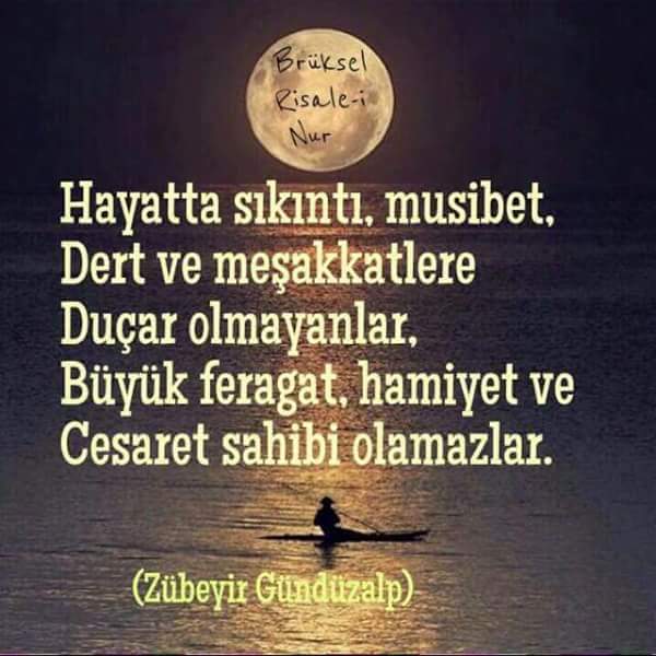 yavuzhan001's tweet photo. FF ===>
@Konsantrasyon06 
@Nev_iBeser 
@nurefsann_72 
@nurudila 
@turhanhoca 
@dostlar35 
@ayeglsucu2 
@bayzerox https://t.co/yjJT4BXvr0