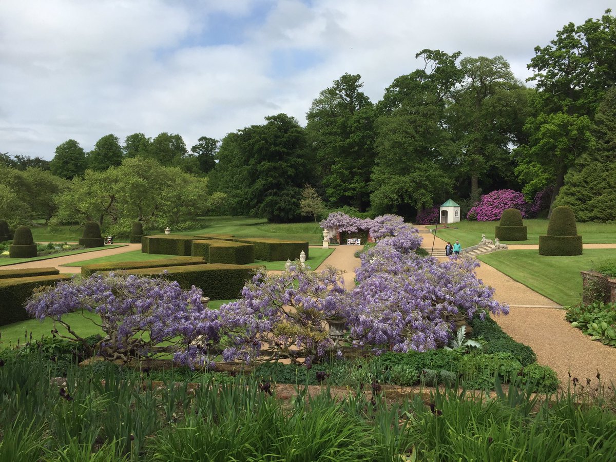 Go to @BlicklingNT and see and smell the wisteria before it fades.