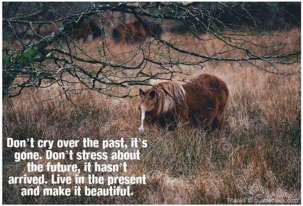 kristy martinez (@martinezknm) on Twitter photo 