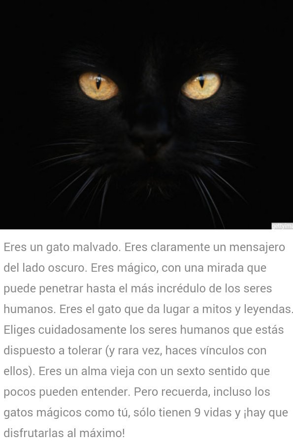 5576ff6f2f1248e's tweet photo. Me enviaron esto, me dijeron q esa descripción soy yo Jajja y eso q no me han cucado la furia que vive dentro de mi https://t.co/q3LHL06Llt