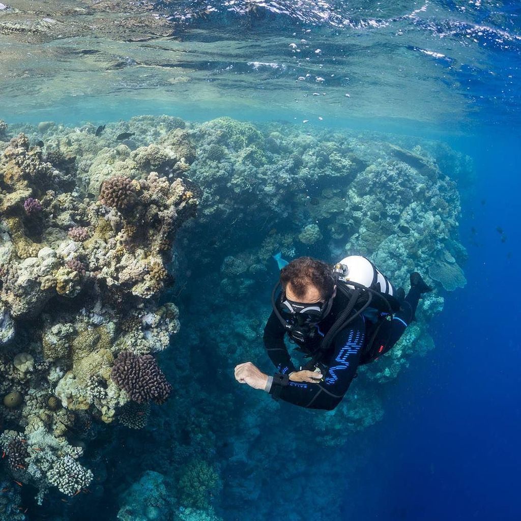 baresports's tweet image. There is a time to work and a time to dive. Weekends are for diving. Time to breakout our #BAREreactive wetsuits.

…