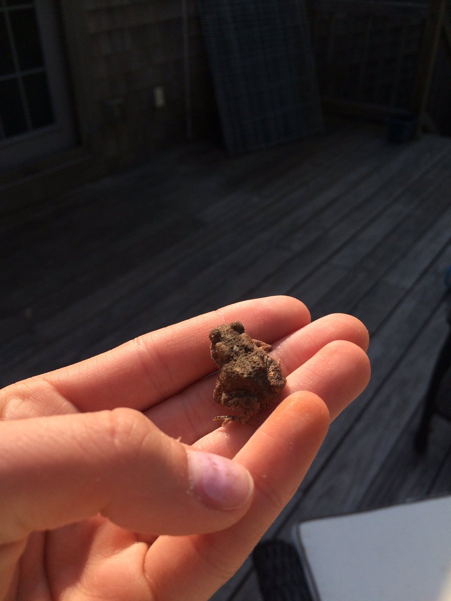 KasharMaggie's tweet photo. I don't think my new friend liked me very much... https://t.co/qLkAIhdOK8