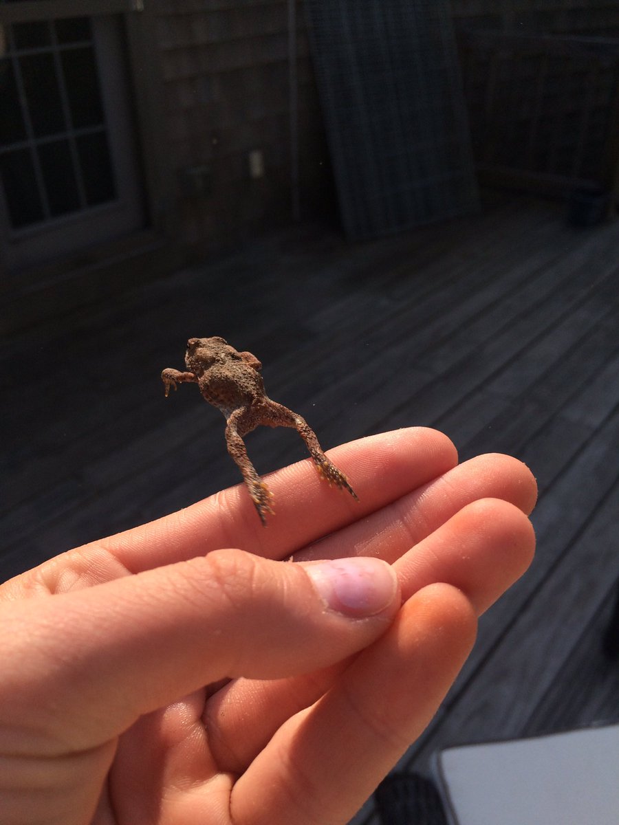 KasharMaggie's tweet photo. I don't think my new friend liked me very much... https://t.co/qLkAIhdOK8