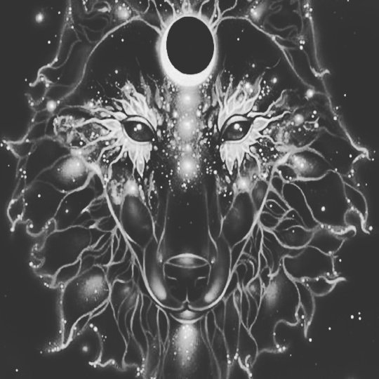 stacymorgancall's tweet photo. A 
Wolf https://t.co/6fcH1pBhLx