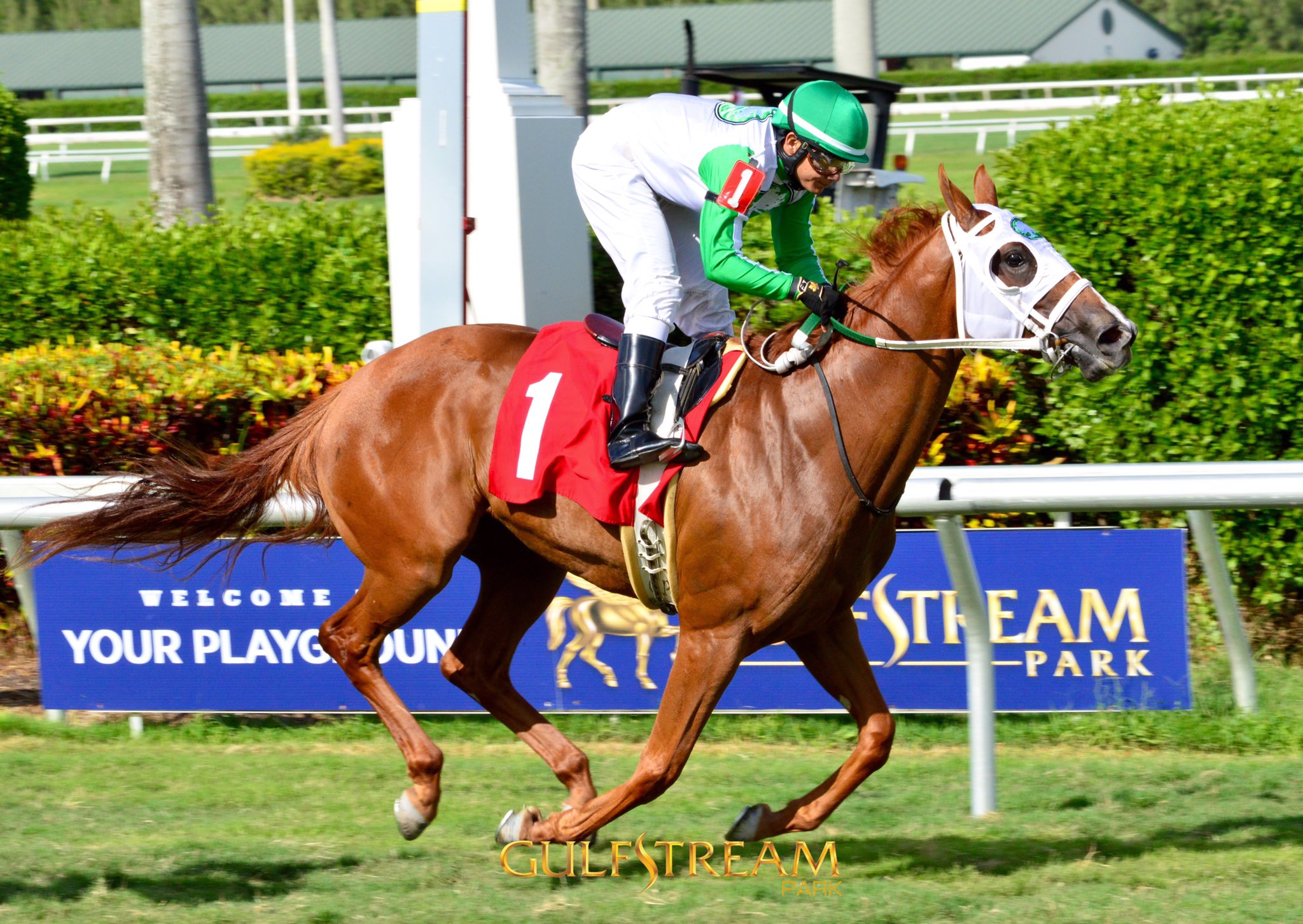 Gulfstream Park on Twitter "Kokomo wins the finale for trainer Ronny