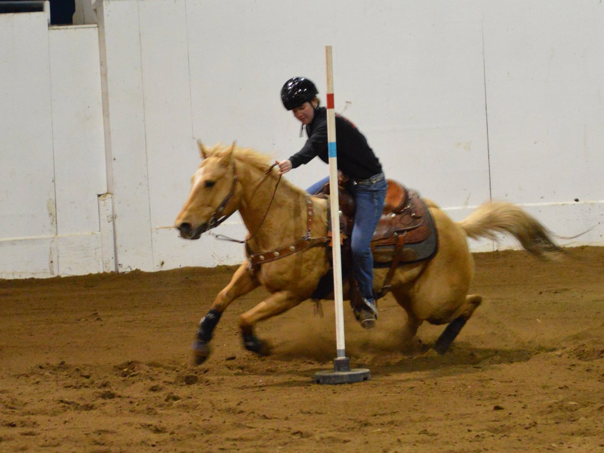 McMSchools's tweet photo. .@MHSGrizzlies Summer Preston competes at state in the two-man birangle  https://t.co/z6U52RhWPG #OHSET #horses #MSD https://t.co/7Yt9nseBPb