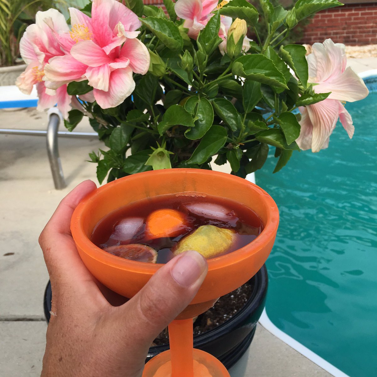 Susu03Ho's tweet photo. First Sangria of the Summer. #longoverdue #ohhowIvemissedthee https://t.co/SasSuEnHmp