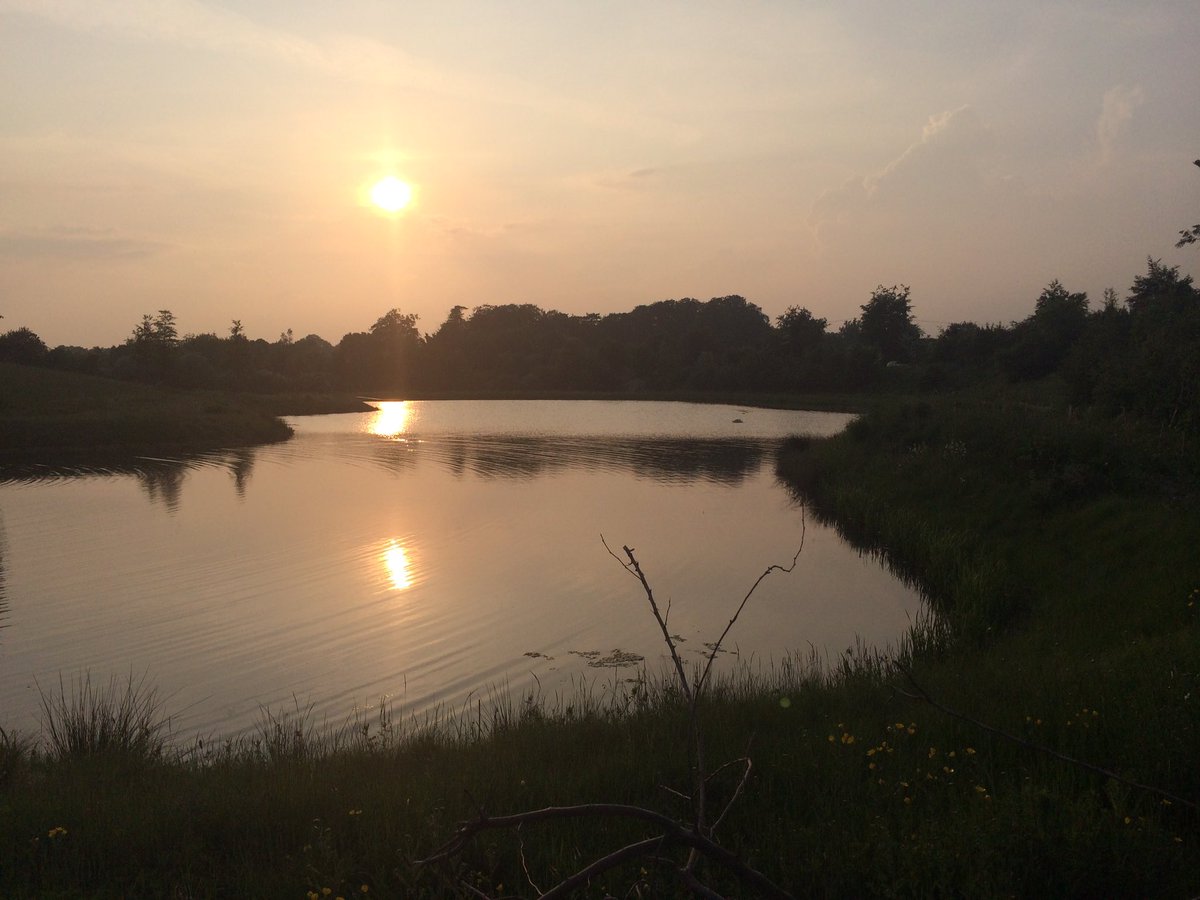 #Beaverbrook#Fridayevening#Bankholidayweekend#Goodnightswansandtrouts#