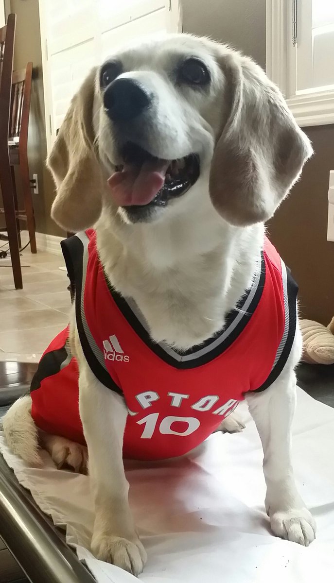 Good luck tonight boys. My puppy is in your corner.   <a href="/Raptors/">Toronto Raptors</a>