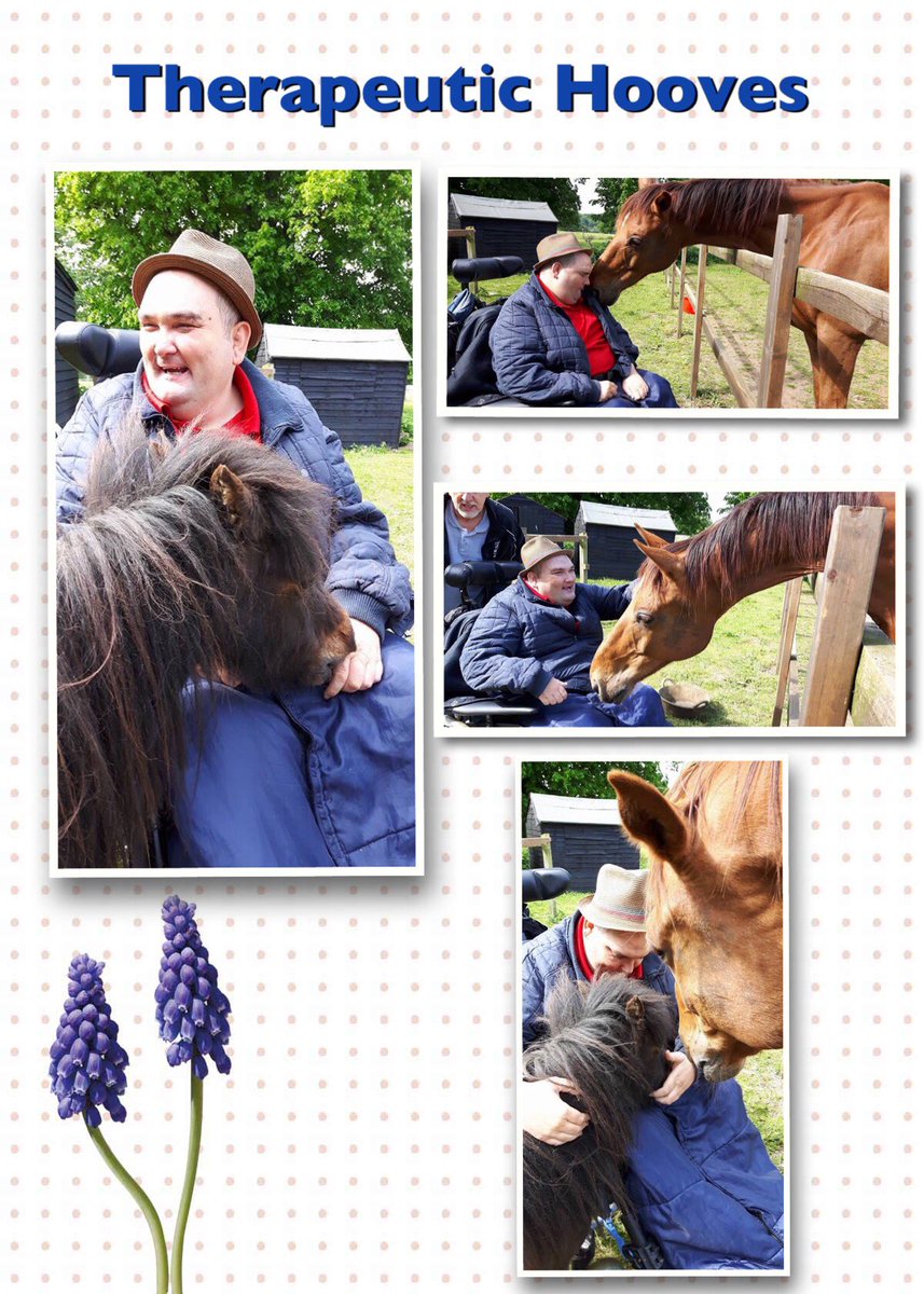 thera_hooves's tweet photo. Today's smile filled session 😊 #makingmemories #horsesconnect #therapeutichooves #smiles #sunshine #horses xxxx https://t.co/KBFOHZVeoh