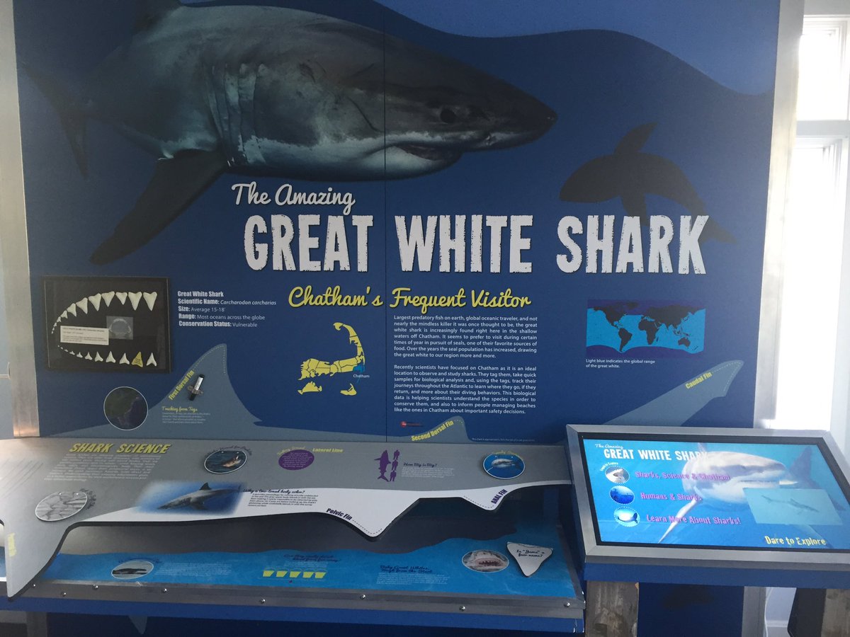 MA_Sharks's tweet photo. Checking out the @A_WhiteShark @TheSharkCenter Opens for the season this weekend. Be sure to stop by. https://t.co/OdqWgagau8