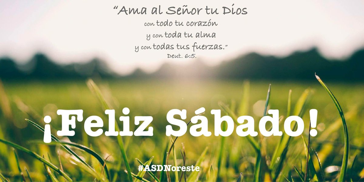 ASD Noreste tweet media