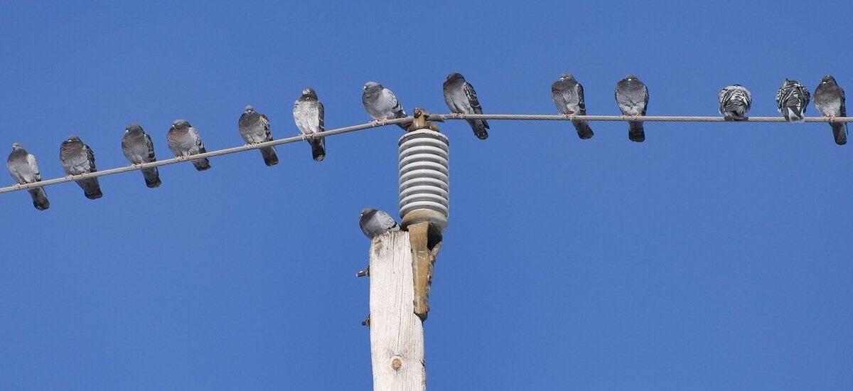 Does your brand take risks on Twitter? These 5 brands did and it worked: ow.ly/oYpF300D9Tk via <a href="/hootsuite/">Hootsuite 🦉</a>