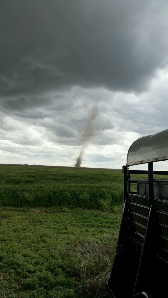 Here's a look at the landspout tornadoes that formed near Tribune, KS