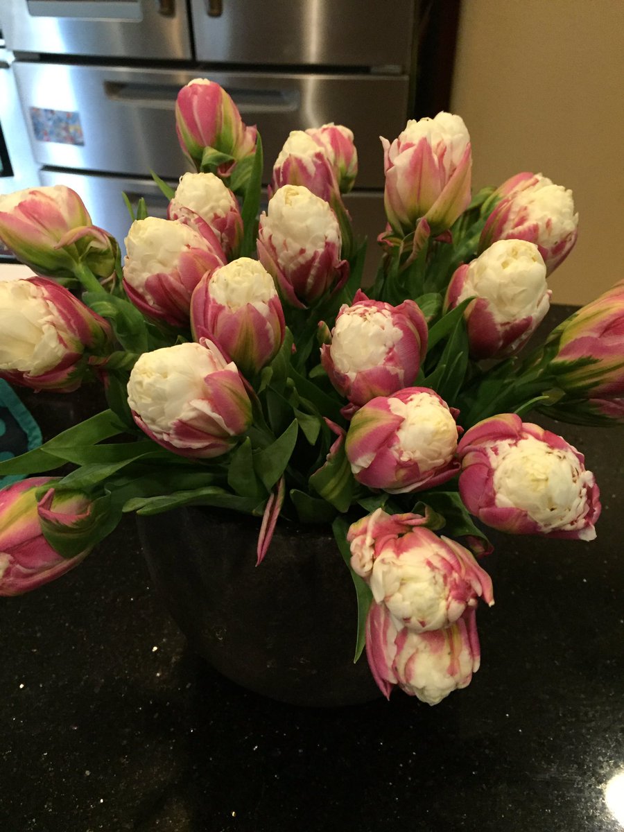 These are pretty special. #icecream #cagrown #originmatters