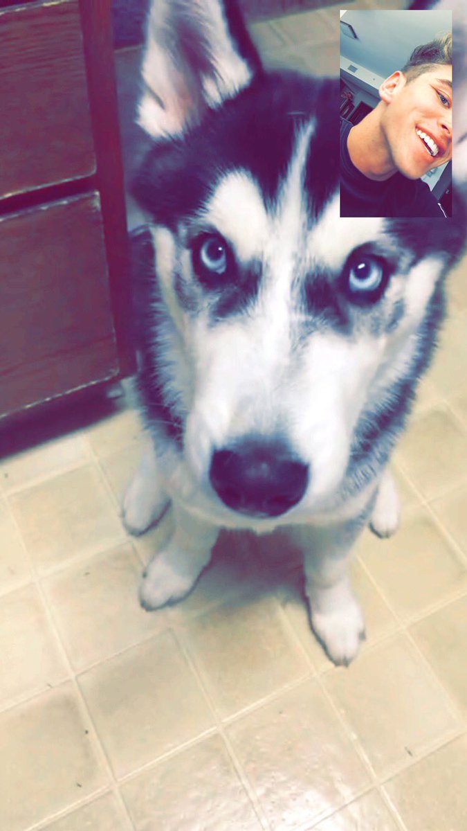 My puppy comes home in 3 days! Can't wait too see him 😍🐶