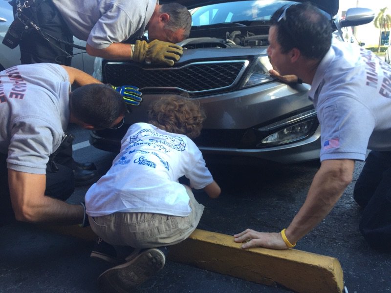 Photos of @MiamiDadeFire #kittenrescue bit.ly/1TO3nqK?utm_me… https://t.co/IrBcgUoBaM