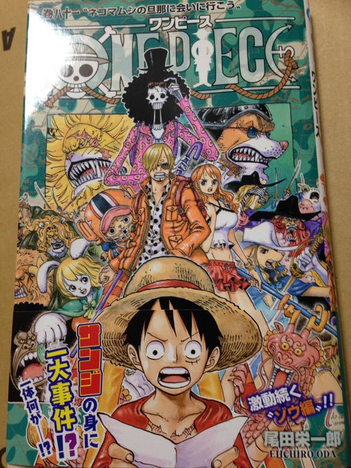 ワンピース 扉絵を一覧で紹介 伏線や何を意味してるかを考察 10ページ目 Selvy