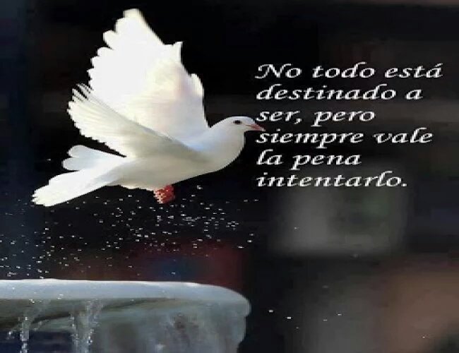 susi_fye's tweet image. @OmarStmbb FELICITÁCIONES!!!!!