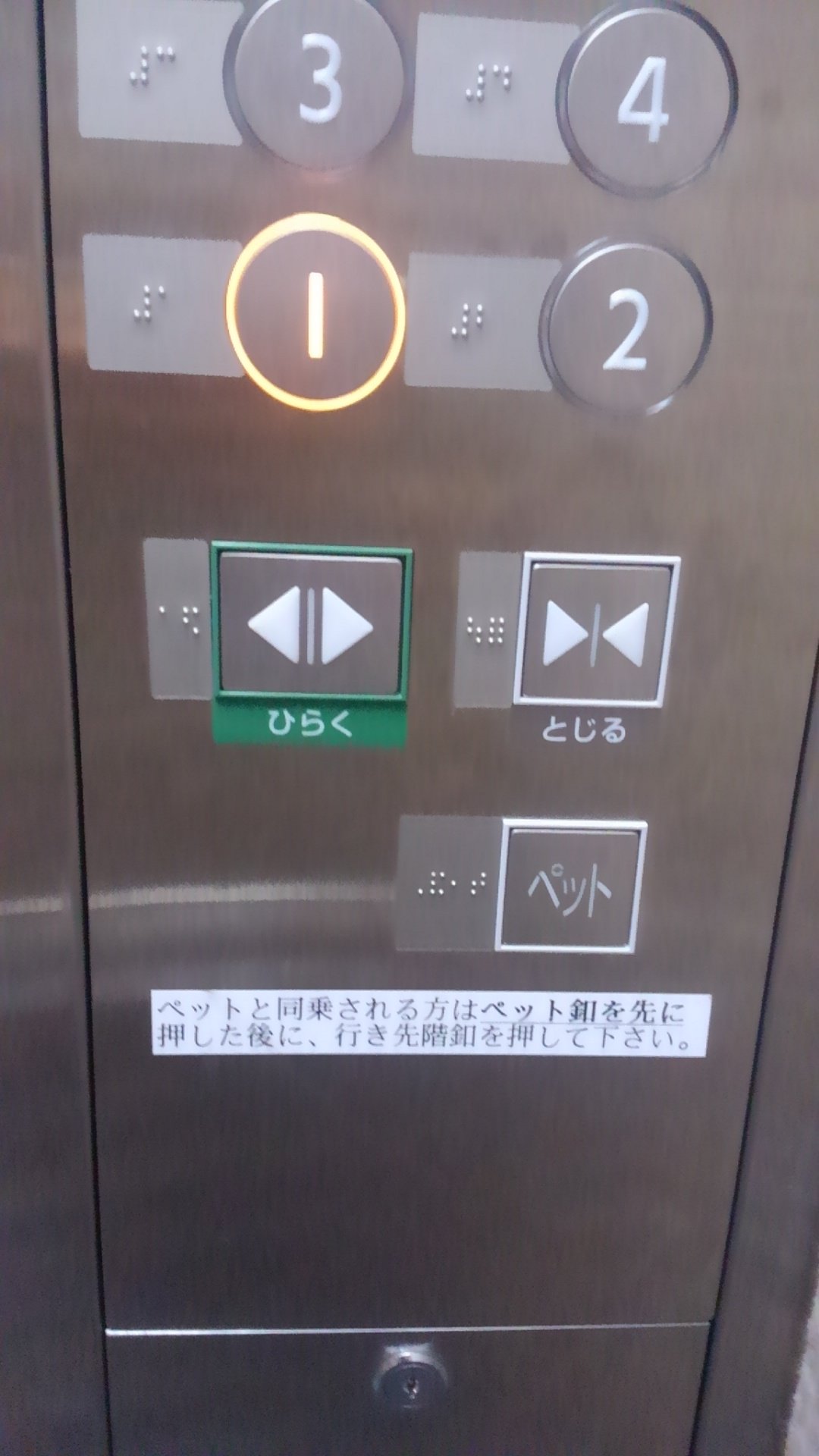 本当は ペット共生マンションに住みたかったので 妄想してみた 引っ越し見積もりは引越しラクっとnavi