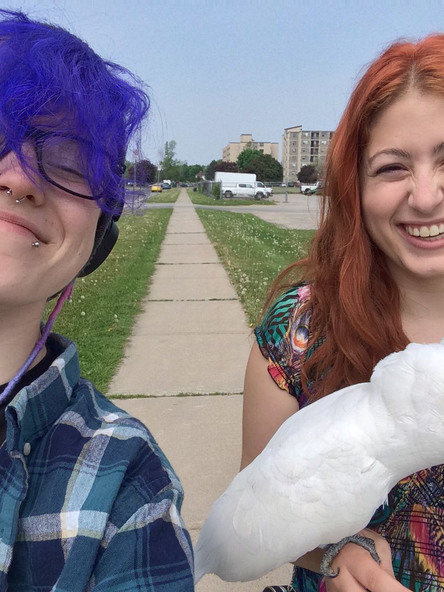 CakeTheBat's tweet photo. Went on a walk this morning with my housemate and birb ๐ฃ๐ฃ๐๐ bright hair is really bright aAAA #Outsideisnice https://t.co/ecTrnPALAx