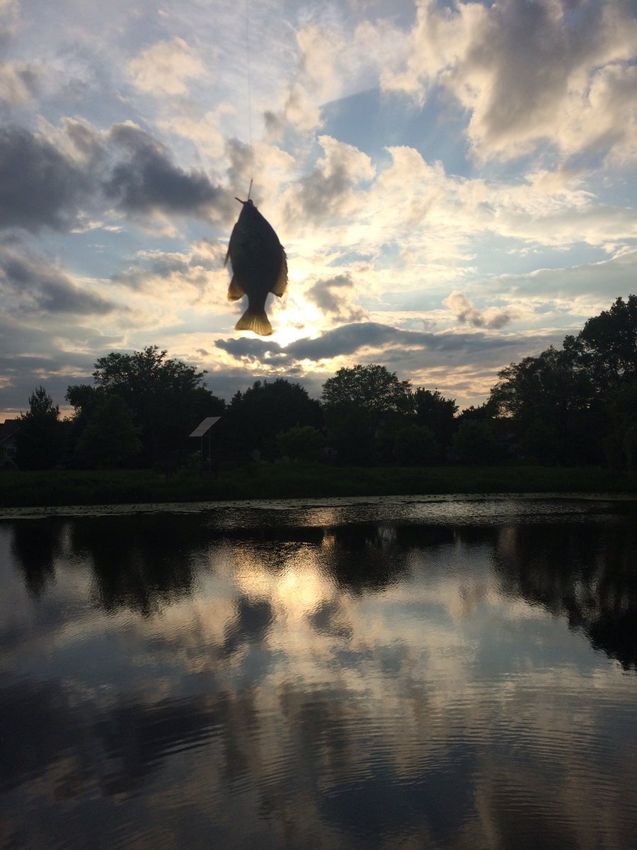 catchinghogs's tweet photo. Little mix is good, caught a bluegill. But still waiting  to catch a big ole hog🐷 #fishing #bass https://t.co/8yvxgbEsuW