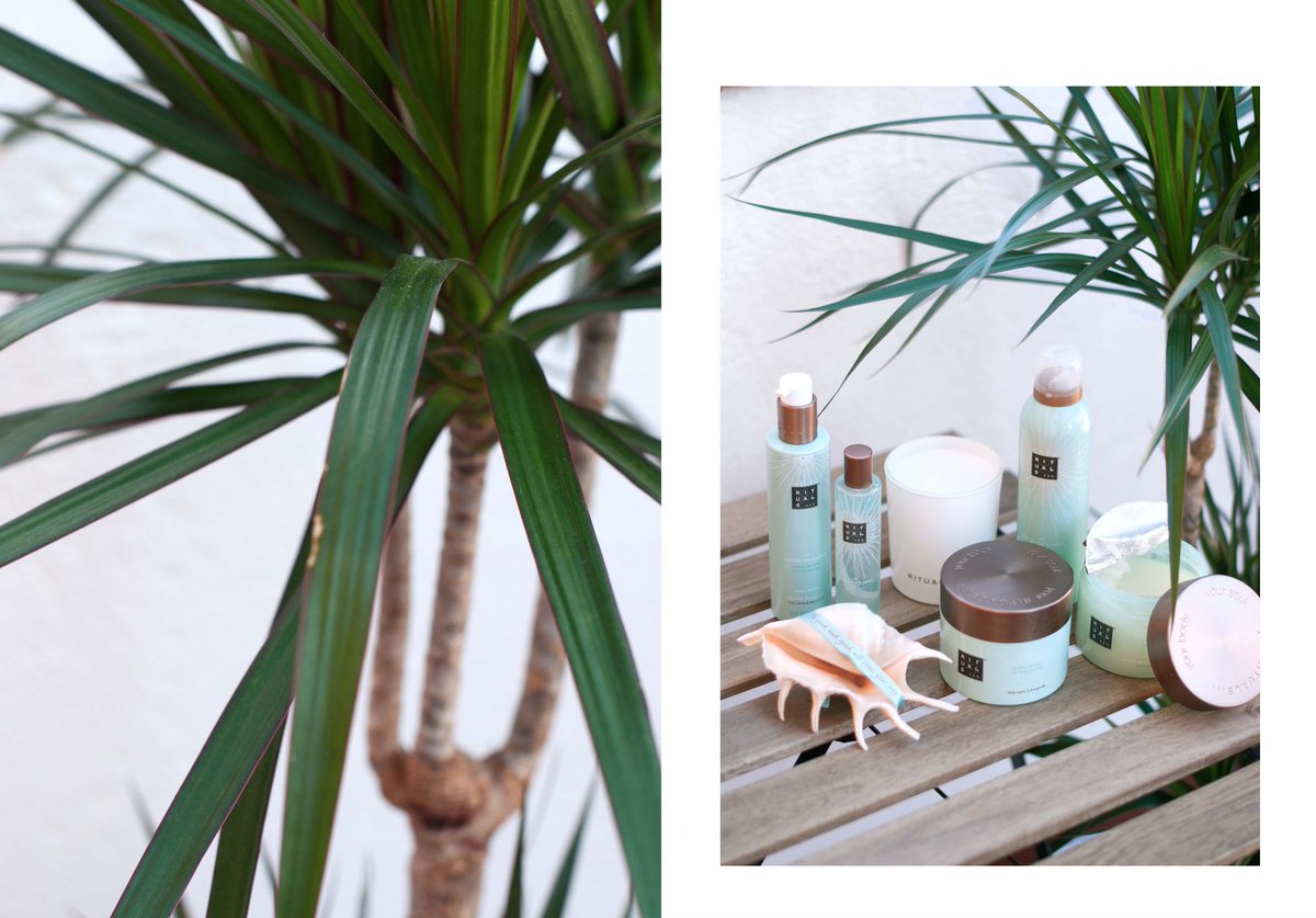 theguestgirl's tweet photo. 🐚🗿💭
NUEVO POST / NEW POST: #30DaysOfGoodKarma ✔
#newpost -> https://t.co/6QLcvAxF0S
@Rituals #rituals https://t.co/yVqTHDjato