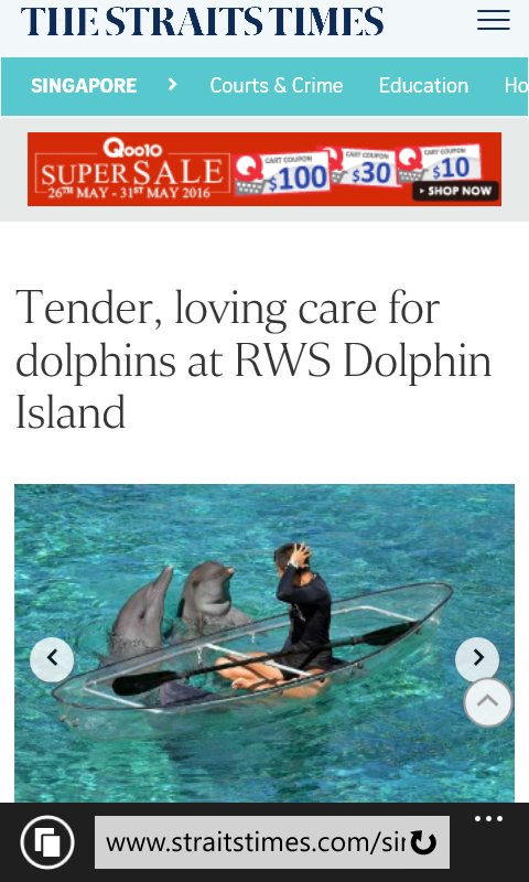 JodieHillier78's tweet photo. @STcom #TheStraitsTimes deleted all comments on their #ProCaptivity #Dolphin article #BigPicture #FreeSpeech #Biased https://t.co/VBWXmMqnny