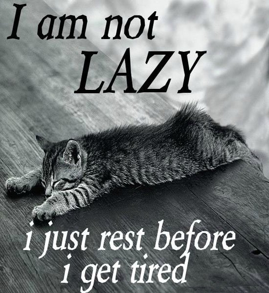 androidsms2's tweet image. I am not #lazy. I just #rest before i get #tired.