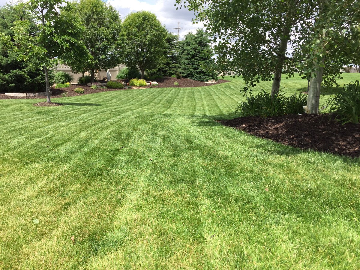 Omaha_Tiger's tweet image. #ParadiseAtHome #BackyardBeach