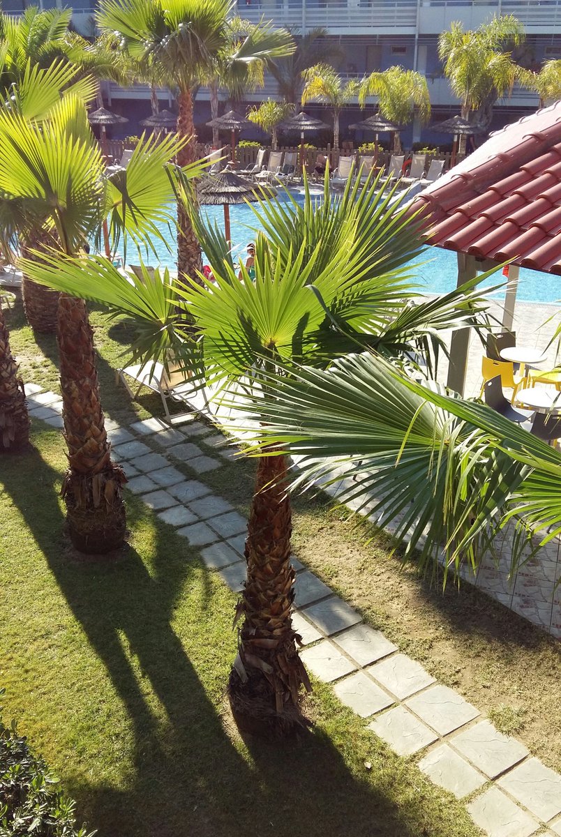 sammiemumford4's tweet photo. Morning view from our balcony 🌞 #Kos16 https://t.co/fNlJryS96q