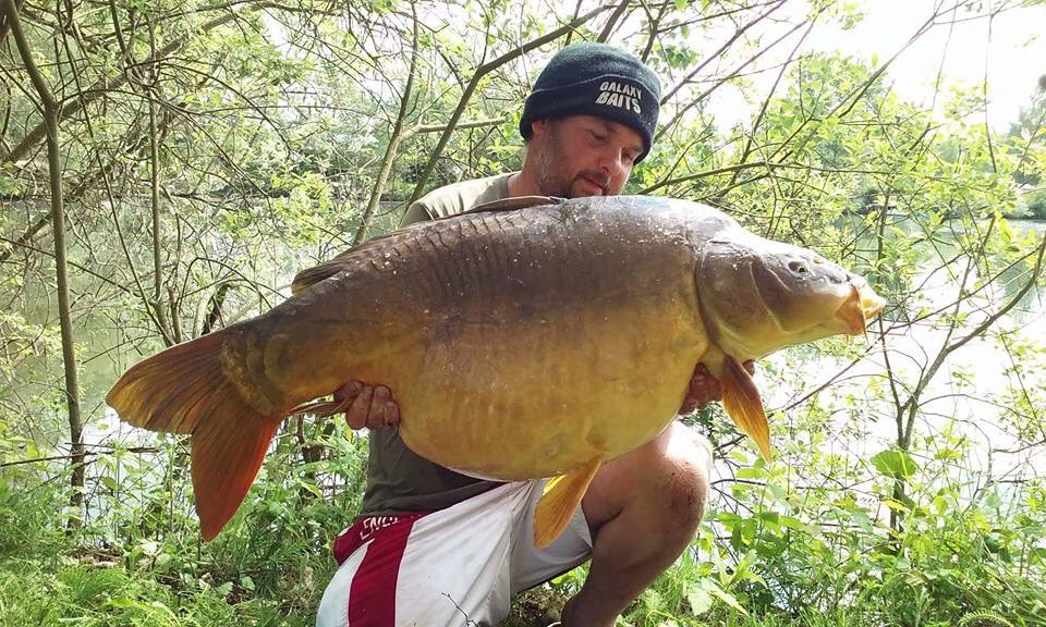 galaxybaits's tweet photo. Danny Callis 43lb mirror yesterday morning on Lac du Blaireau. Top bombin ! #galaxseaplum https://t.co/IQvJEo1uPr