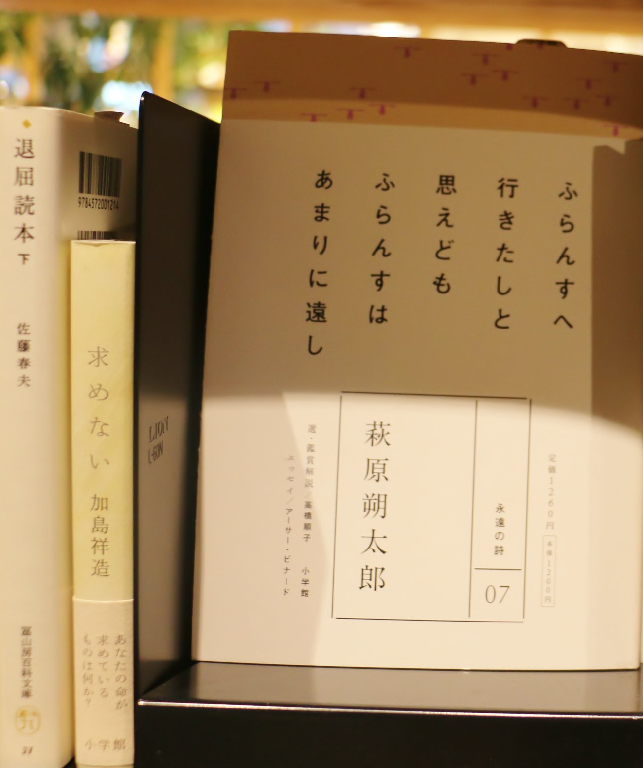 二子玉川 蔦屋家電 Book News フランスへ想いをはせたり 現実の計画をたてたりして 好奇心をふくらませましょう 地図と写真にウキウキできる 東京近郊ミニハイク 日本語の美しさ 言葉の新しさに 感動する詩集 永遠の詩 雨の日は蔦屋家電へ