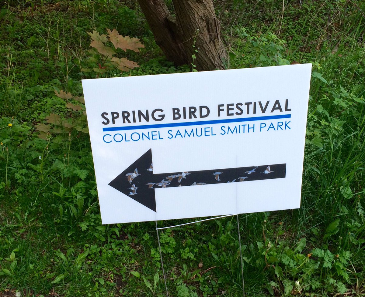 lynromanko's tweet photo. 10 a.m. Start #SamSmithPark #Bird Festival #CCFEW bird walks have begun #Etobicoke https://t.co/7GUWcjs0hc