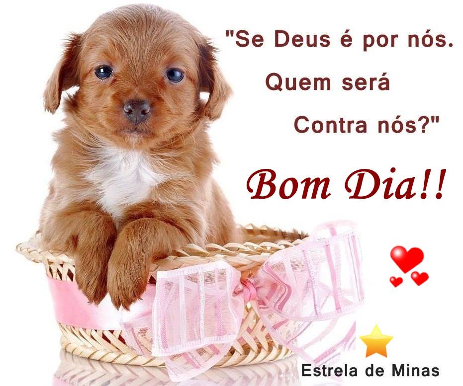 juniojorge22's tweet photo. Bom dia a todos....que deus nos ilumine...!! https://t.co/Euo37OX0sM