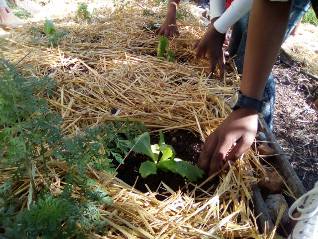 Greenpop's tweet photo. Awesome workshop this morning with a lovely group of girls from #onsplek at our nursery! #permaculture #growyourown https://t.co/AsJpnBEftR