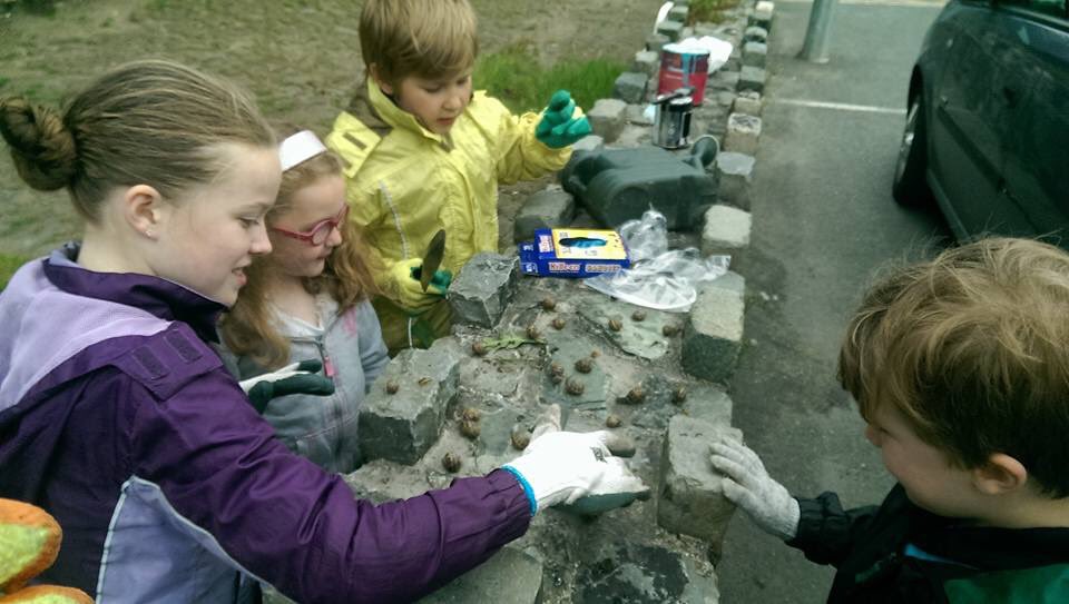 89thBremore's tweet photo. @ScoutingIreland more work carried out on our adopt a plot last night by beavers, Cubs, &amp; parents #snailraces 🐌🐌🐌 https://t.co/uBQDRzjDIb