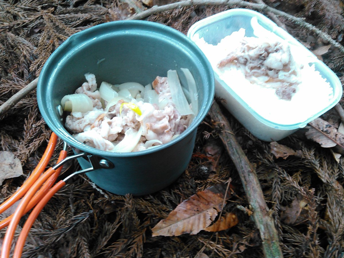 Sugiura 比良の山にツェルト泊 水晶を探してペグマタイトを追うものの虫 が多すぎてあまり回れなかった 今日の場所はかなりメジャーな場所で人が多い いつものひっそりとしたツェルト泊が出来なさそうで残念 W