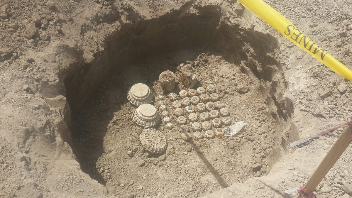 IraqNpa's tweet photo. Our humanitarian activities are ongoing to clear more lands that will be used for housing in Basrah.  @NPAdisarm https://t.co/gT8J2HuOin