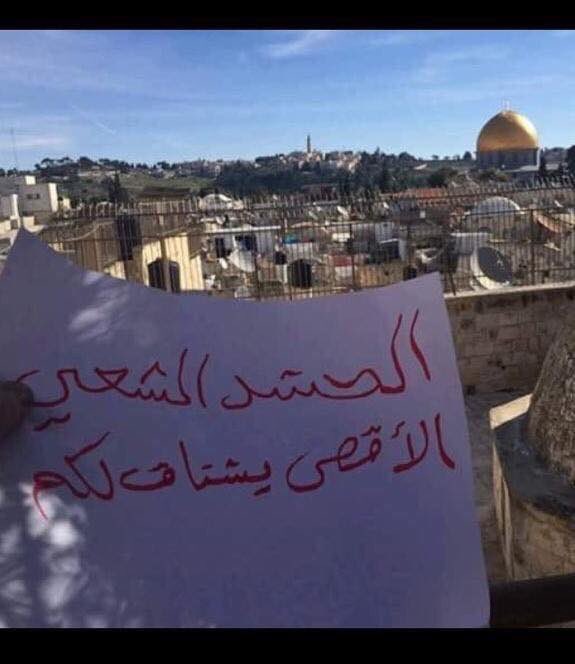 رافت الحسيني (@q7ao3jf) on Twitter photo 