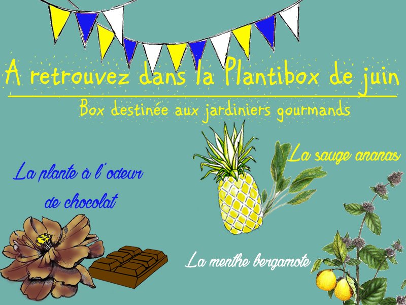 Plantibox's tweet photo. Plus que 8 jours pour votre @plantibox du mois de #juin Elle vous promet des surprises gourmandes #jardin #boxjardin https://t.co/STvdncSkuJ