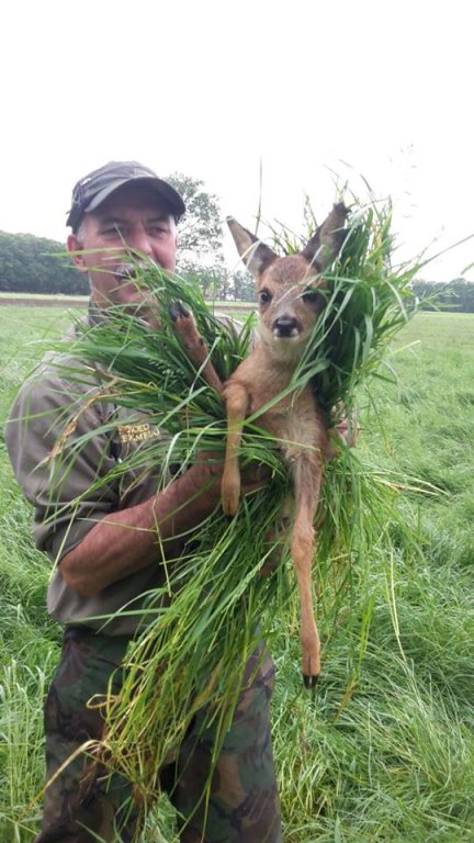 Jachtopziener Huize Almelo redt reekalfjes voor het maaien tubantia.nl/regio/almelo-e…