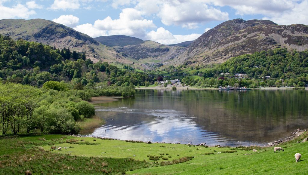Gill Head Farm (gillheadfarm) Twitter