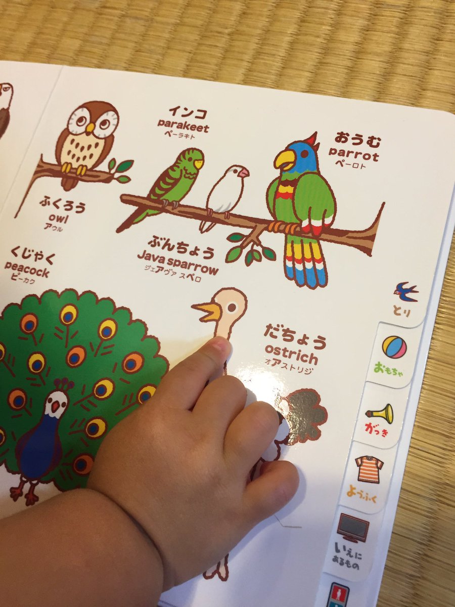 kyoso01's tweet photo. おこうやん（おとうやん）と言って指差すのは、いつもダチョウ。 https://t.co/CTvvjMGvVz