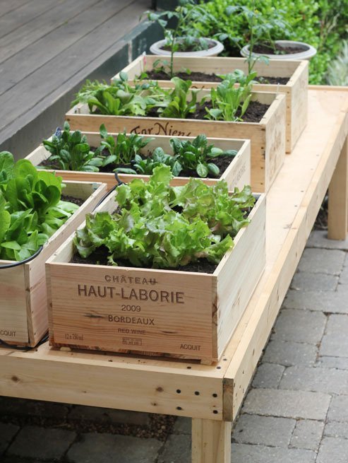 Gardening Without a Garden: 10 Ideas for Your Patio or Balcony puls.ly/u-K5zQ #therapy