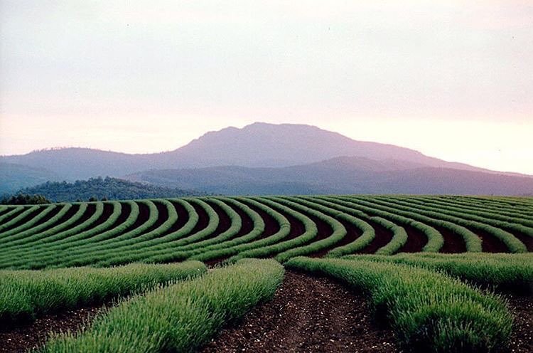 EXPLORE AUSTRALIA tweet media