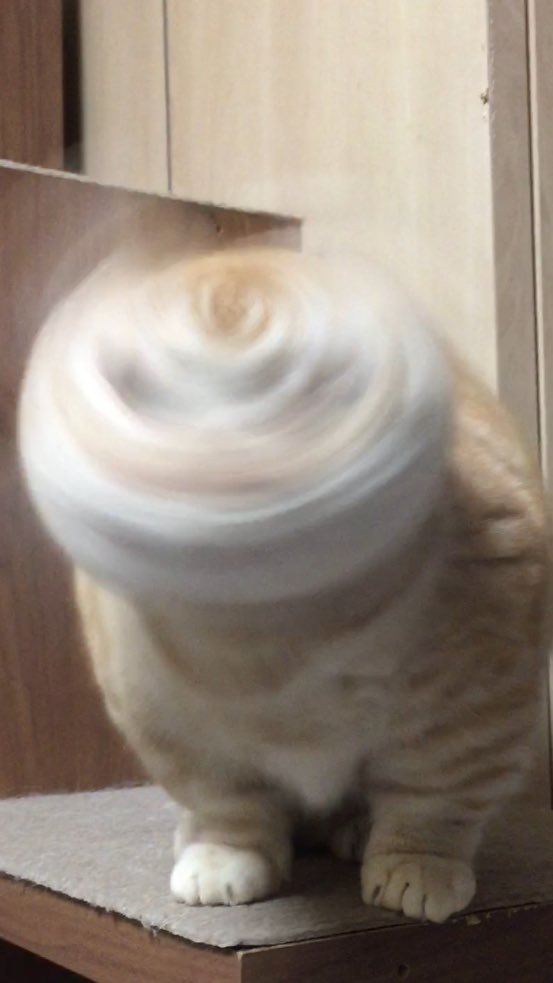 みいすけ YouTube