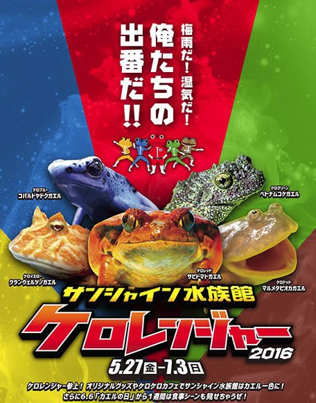 イベントチェッカー製作委員会 7 3 日 まで 東京 池袋サンシャイン水族館で カラフルな5種類のカエルを展示する ケロレンジャー16 開催中 梅雨だ 湿気だ 俺たちの出番だ T Co Yaeziwyhjr イベントチェッカー製作委員会 7 3 日 まで 東京 池袋サンシャイン水族館で カラフルな5種類のカエルを展示する ケロレンジャー16 開催中 梅雨だ 湿気だ 俺たちの出番だ T Co Yaeziwyhjr